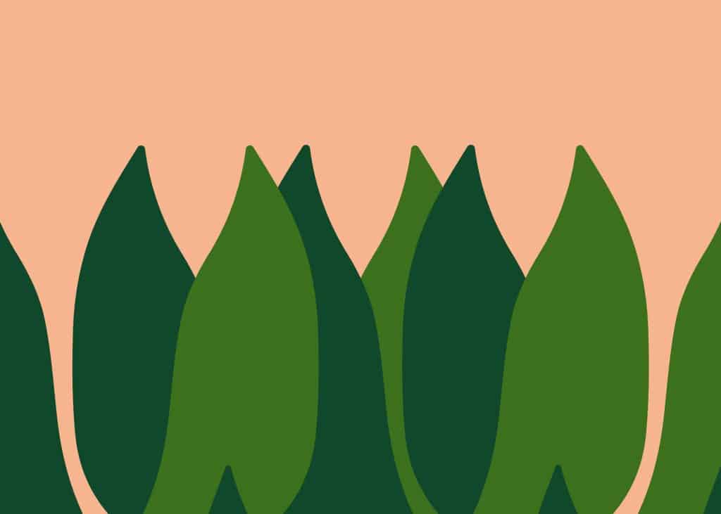 Spring shopping guide cover